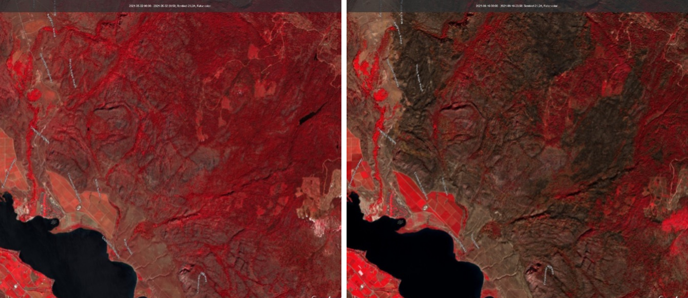 Before (May) and after (September) the 2021 Nk’Mip Creek wildfire north of Osoyoos in Southern British Columbia. Osoyoos lake, in the southwest corner of the image, is the drinking water source for several communities, as well as water recreation hotspot, and an important habitat for the emblematic Sockeye salmon. Sentinel-2 10-meter false-color imagery. Credit: Copernicus/SentinelHUB