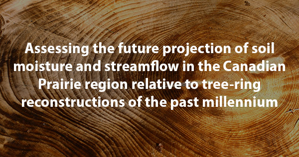 Assessing the future projection of soil moisture and streamflow in the Canadian Prairie region relative to tree-ring reconstructions of the past millennium