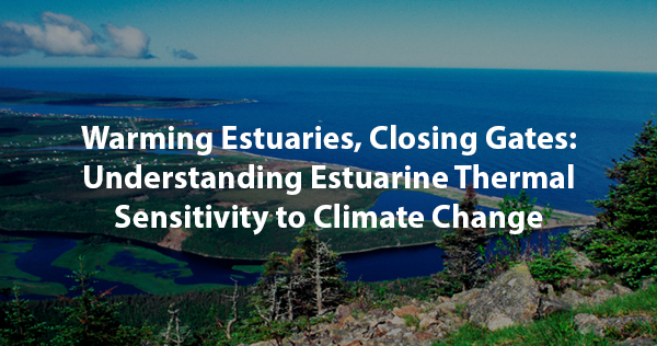 Warming Estuaries, Closing Gates: Understanding Estuarine Thermal Sensitivity to Climate Change