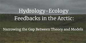 Hydrology-ecology feedbacks in the Arctic: Narrowing the gap between theory and models