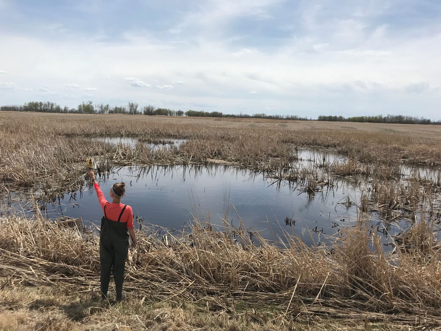 One of many wetland visits during the spring 2018 field season. Photo credit A. Hergott.
